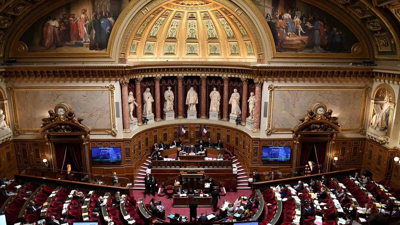 Après l'Assemblée nationale, le Sénat vote la création d'un 'homicide routier'