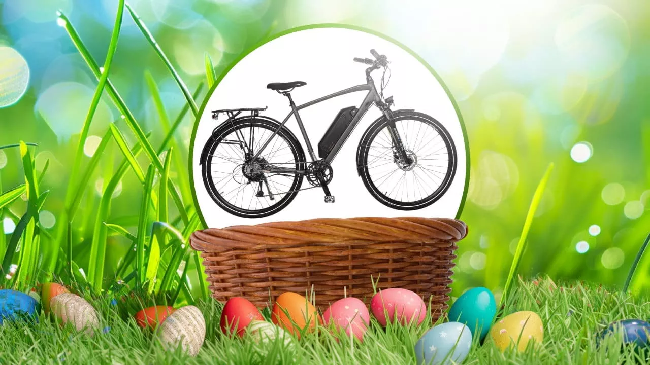 Ostern: Gewinnen Sie ein Prophete Herren Trekking E-Bike mit BILDplus