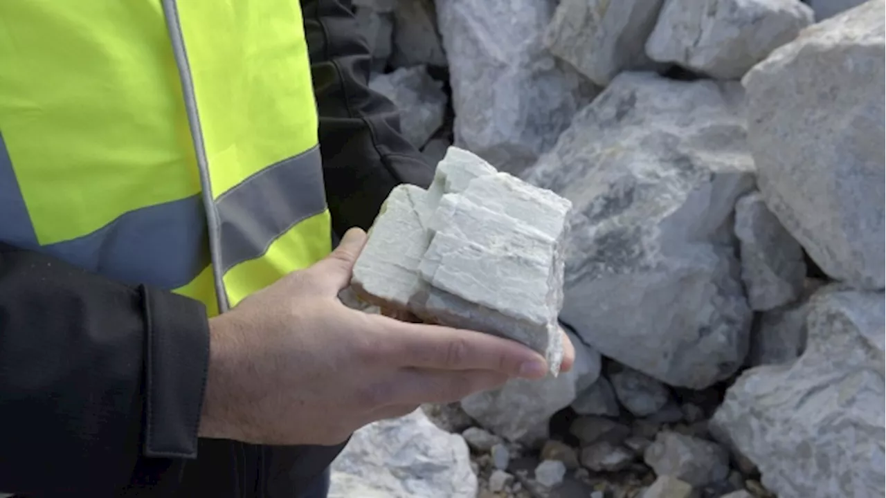 Australian Lithium Producer to Sell Online in Transparency Push