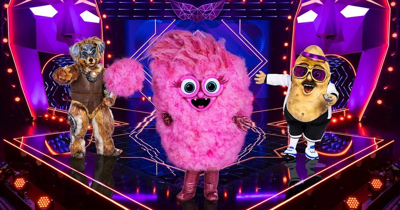 The Masked Singer 2024: Erster Blick auf die neuen Masken