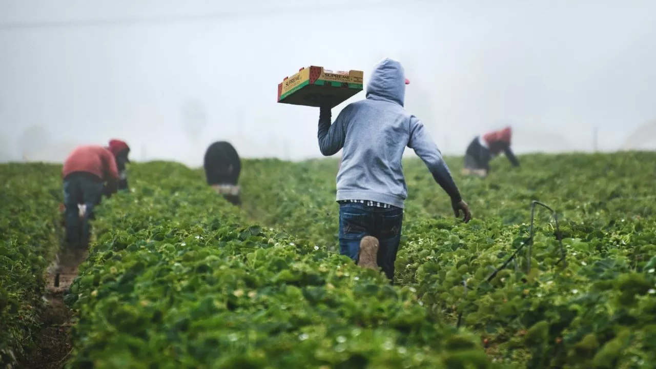 Western Cape boosts farming community safety with new initiatives