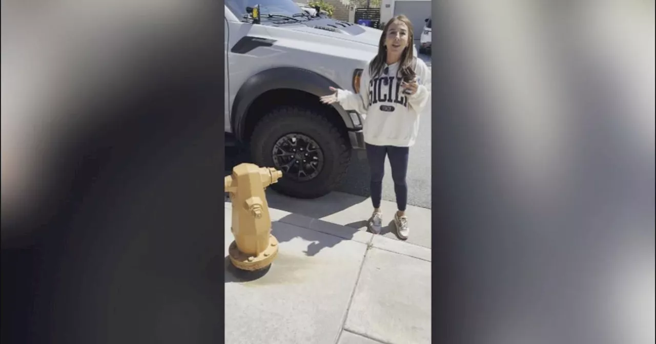 Video shows argument between parent and homeowner after crash outside LA County elementary school