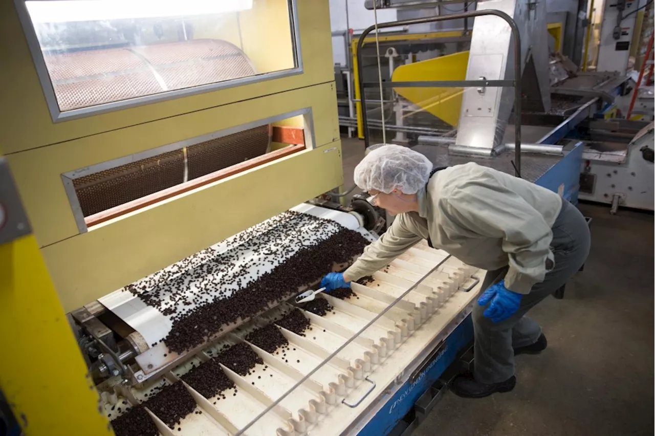 Editorial: Nostalgia may be sweet, but Blommer’s chocolate plant closure decision is sour