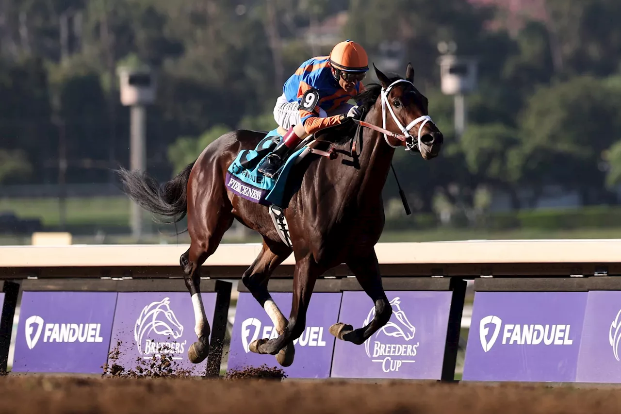 Road to the Kentucky Derby Picks and Best Bets for March 30: Florida Derby and Arkansas Derby