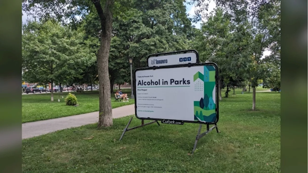 Alcohol in Toronto parks pilot on way to becoming permanent