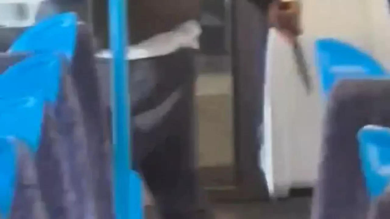 Knifeman attacks man on the train in front of shocked passengers