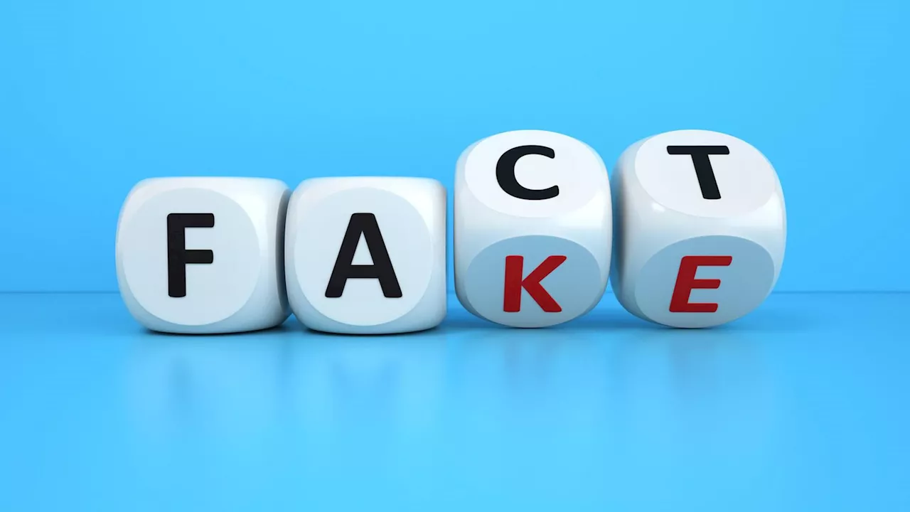  Deutschland, Frankreich und Polen errichten Frühwarnsystem gegen Fake News