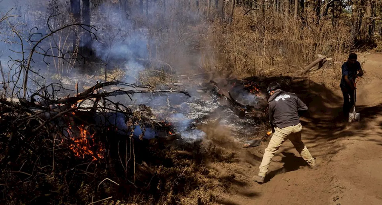 ¡México arde! Se reportan 130 incendios forestales en el país y más de 8 mil hectáreas afectadas