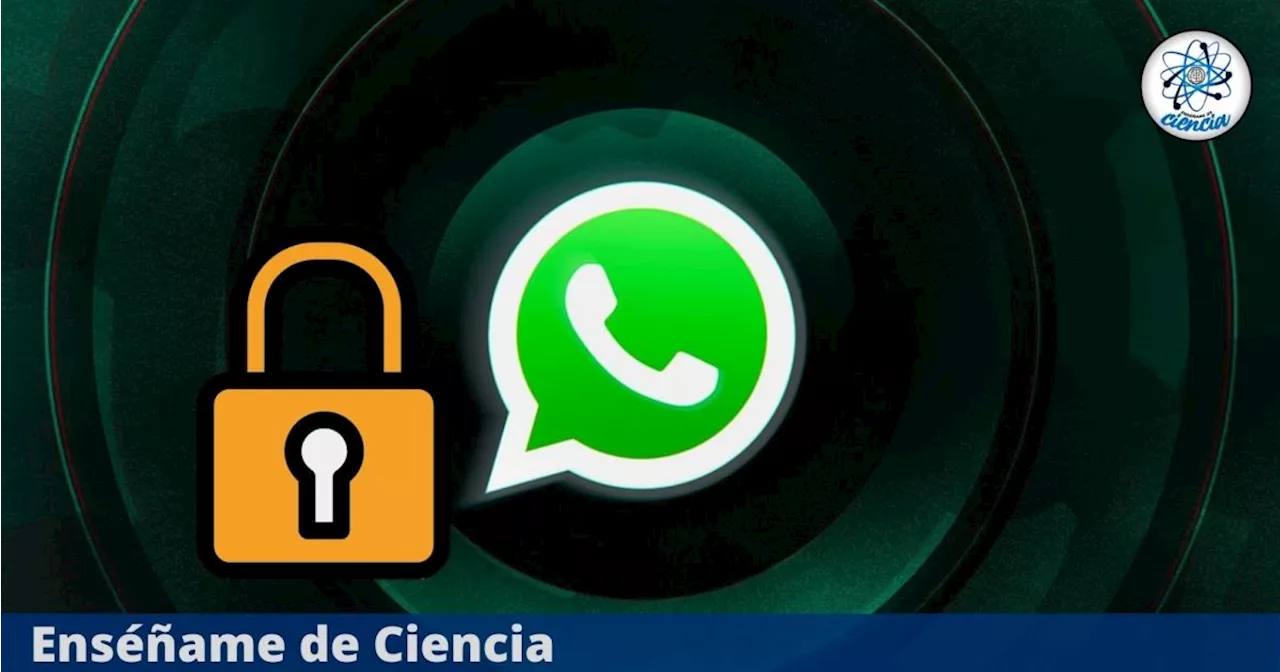 WhatsApp: ¿Qué es el ‘código secreto’ del que todos hablan, para qué funciona y cómo usarlo?