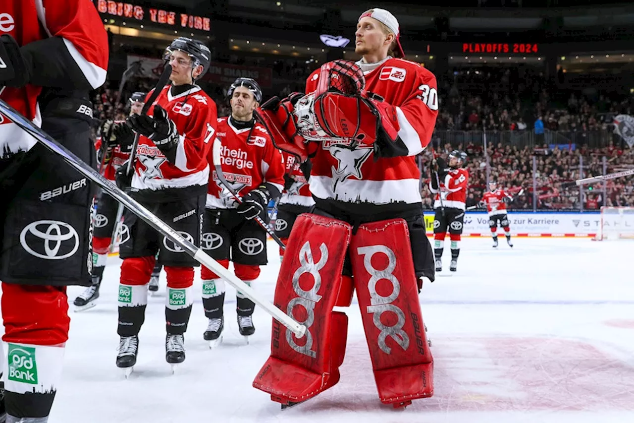 DEL: Kölner Haie auf Trainer-Suche – zwei Kandidaten gehandelt