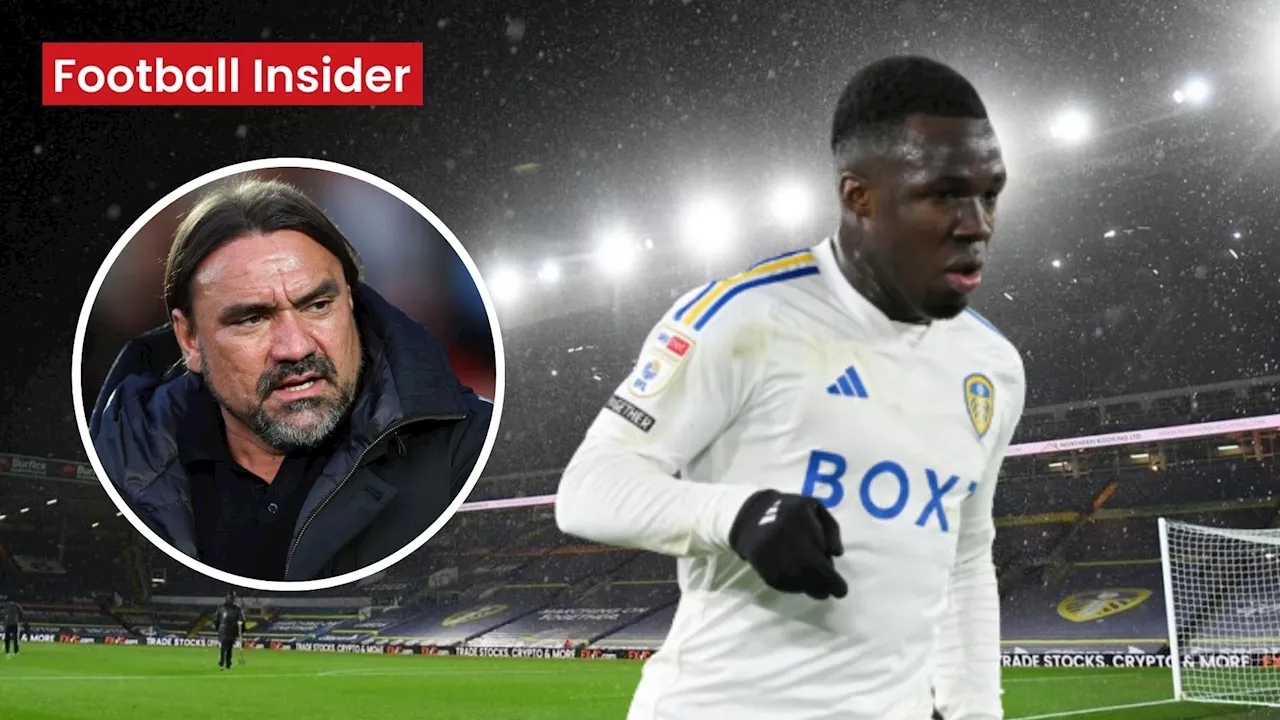 Leeds United transfer news: Pundit shares ‘huge’ Wilfried Gnonto claim after confession