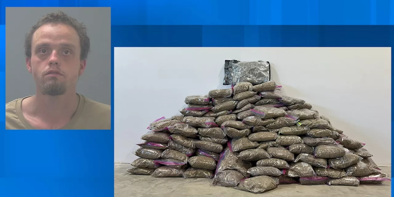 Florida authorities seize 150 pounds of spice worth $200,000 in Jay