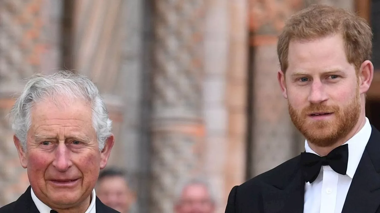 Prinz Harry reist im Mai nach Großbritannien: Steht ein weiteres Treffen mit Charles an?