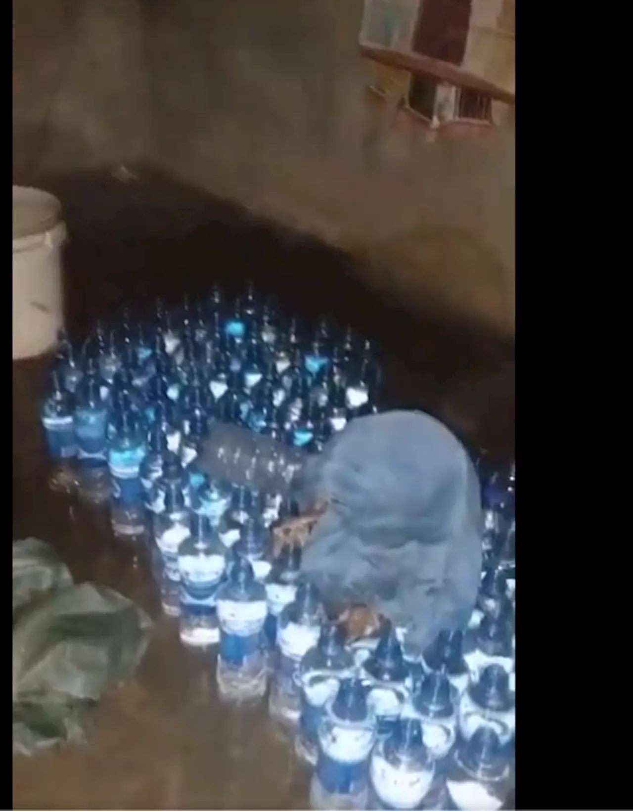 NAFDAC busts counterfeit Eva water production in Port Harcourt