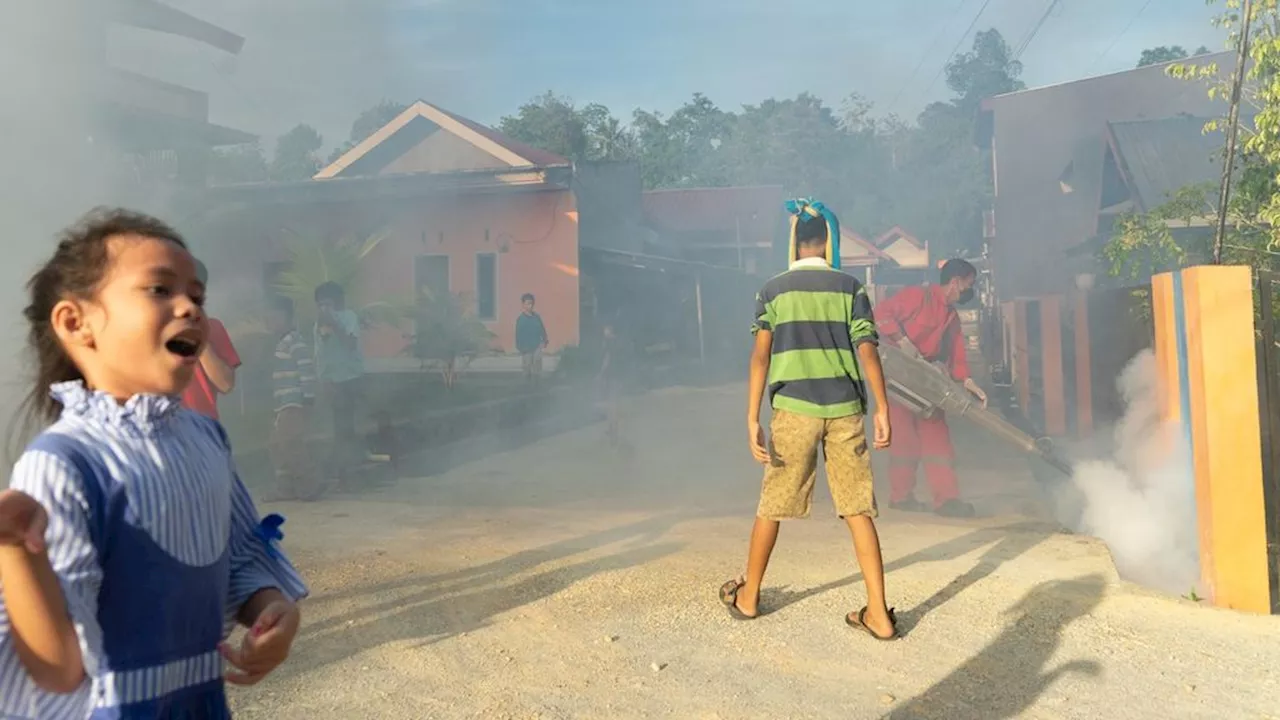 Jambu Biji hingga Kelor, ”Jimat” Daya Tahan dari Terpaan Demam Dengue