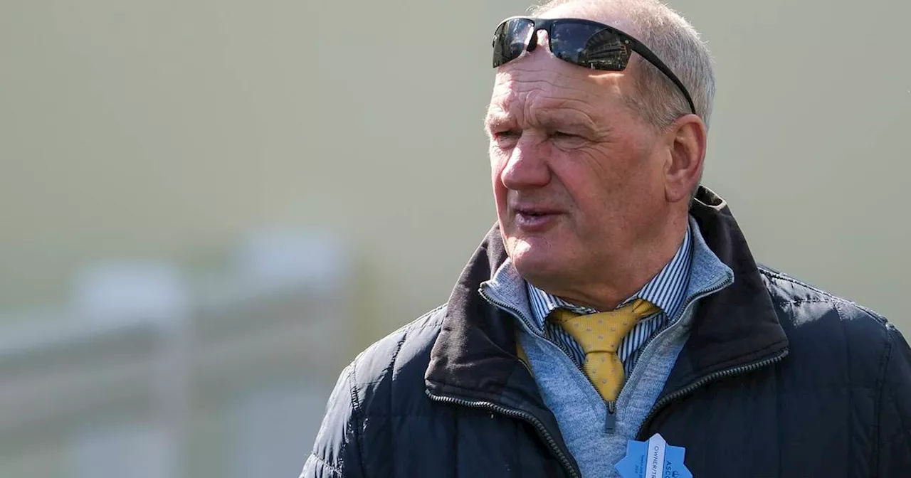 Trainer Tony Martin to lose licence for three months after IHRB appeal