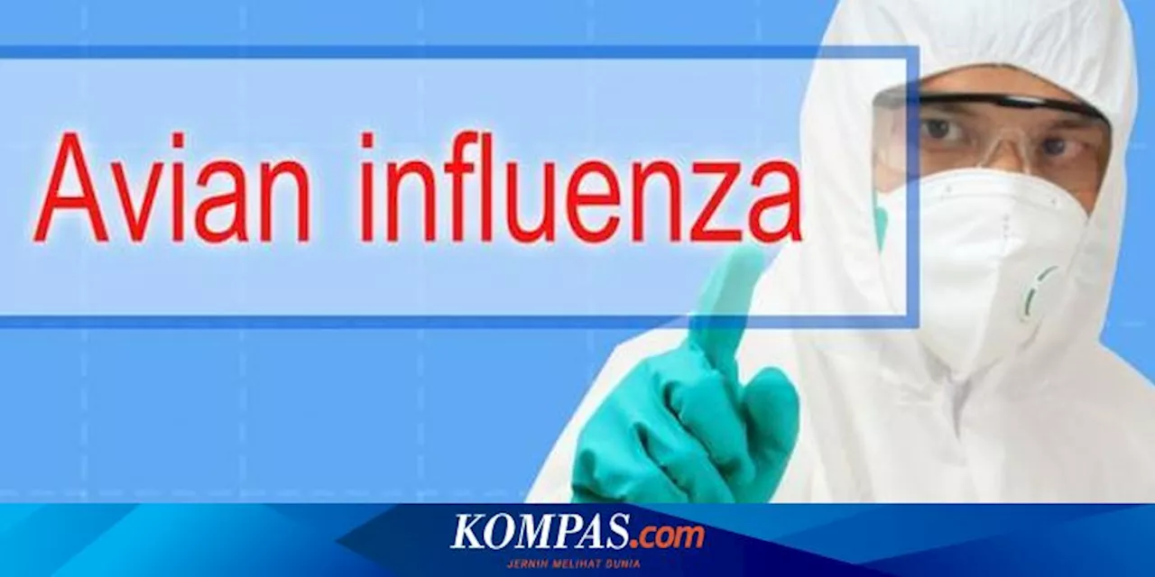 Sapi Perah di AS Terdeteksi Idap Flu Burung