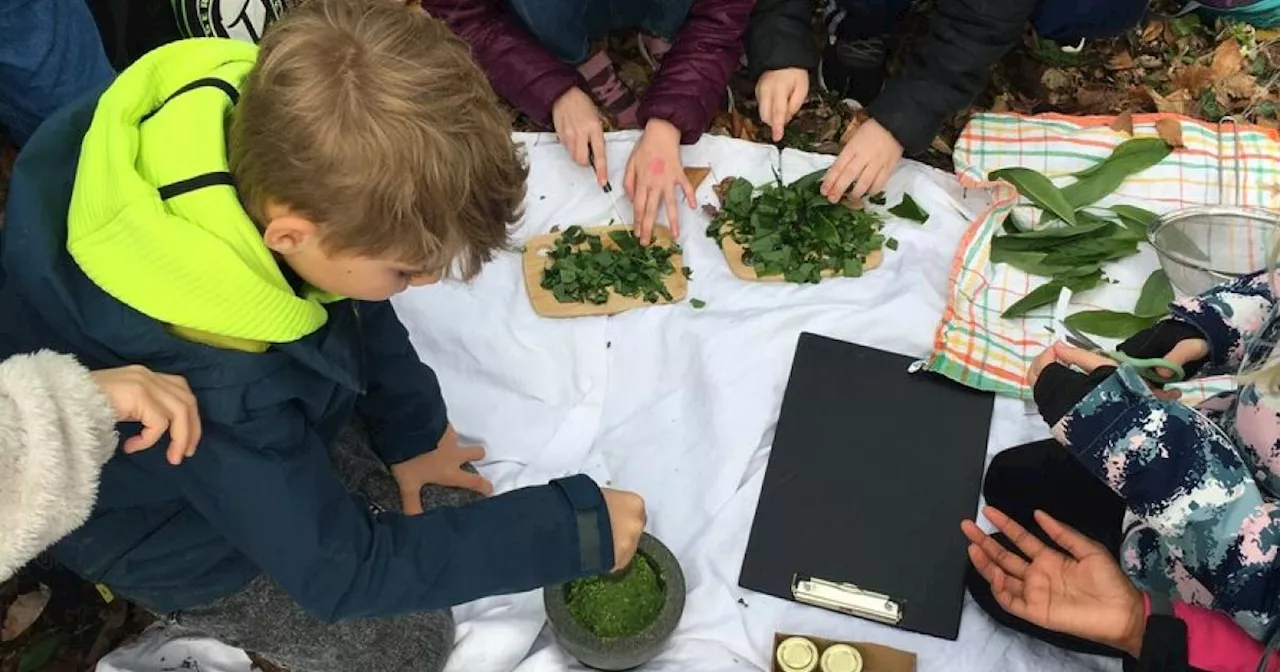 Lehrreiche Walderkundung: Bärlauchernte mit Naturvermittlern