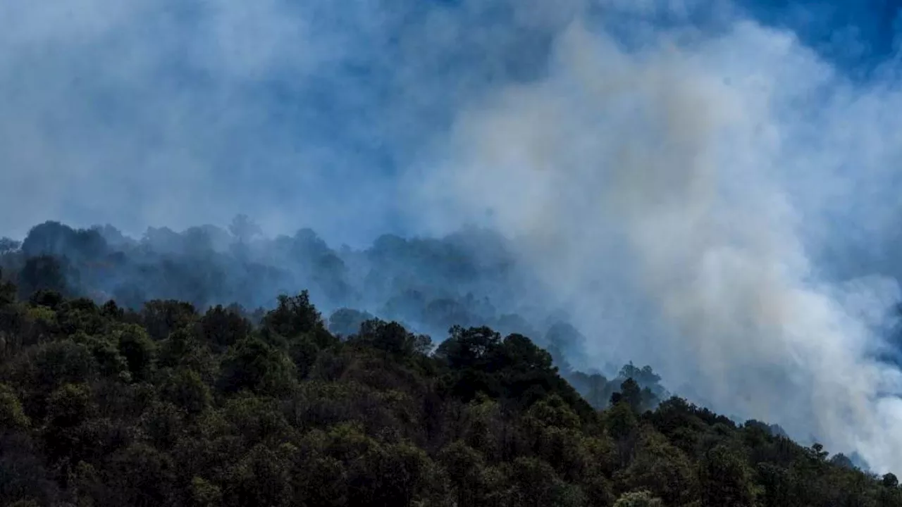 Anuncian que se realizarán mesas de trabajo para combatir incendios forestales en Edomex