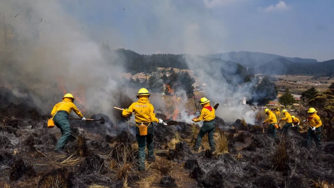 En México hay 126 incendios forestales activos