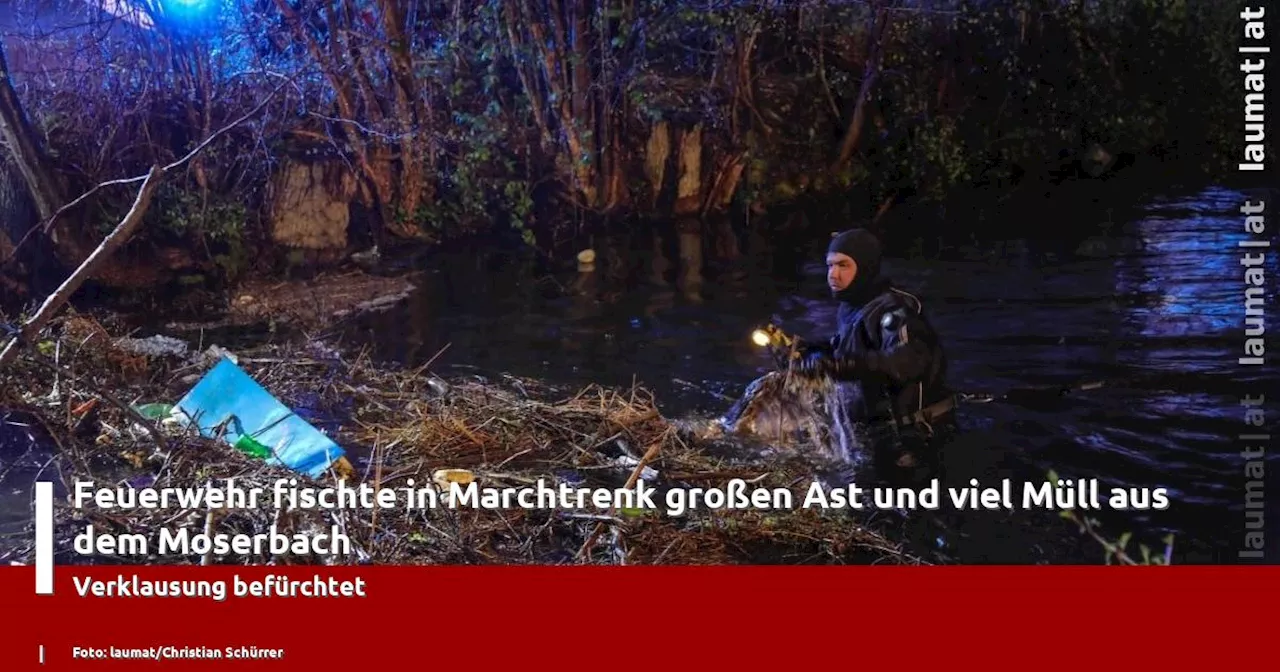 Feuerwehr fischte in Marchtrenk großen Ast und viel Müll aus dem Moserbach