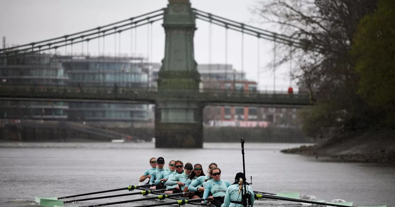 Aviron : La pollution de la Tamise menace la célèbre Boat Race