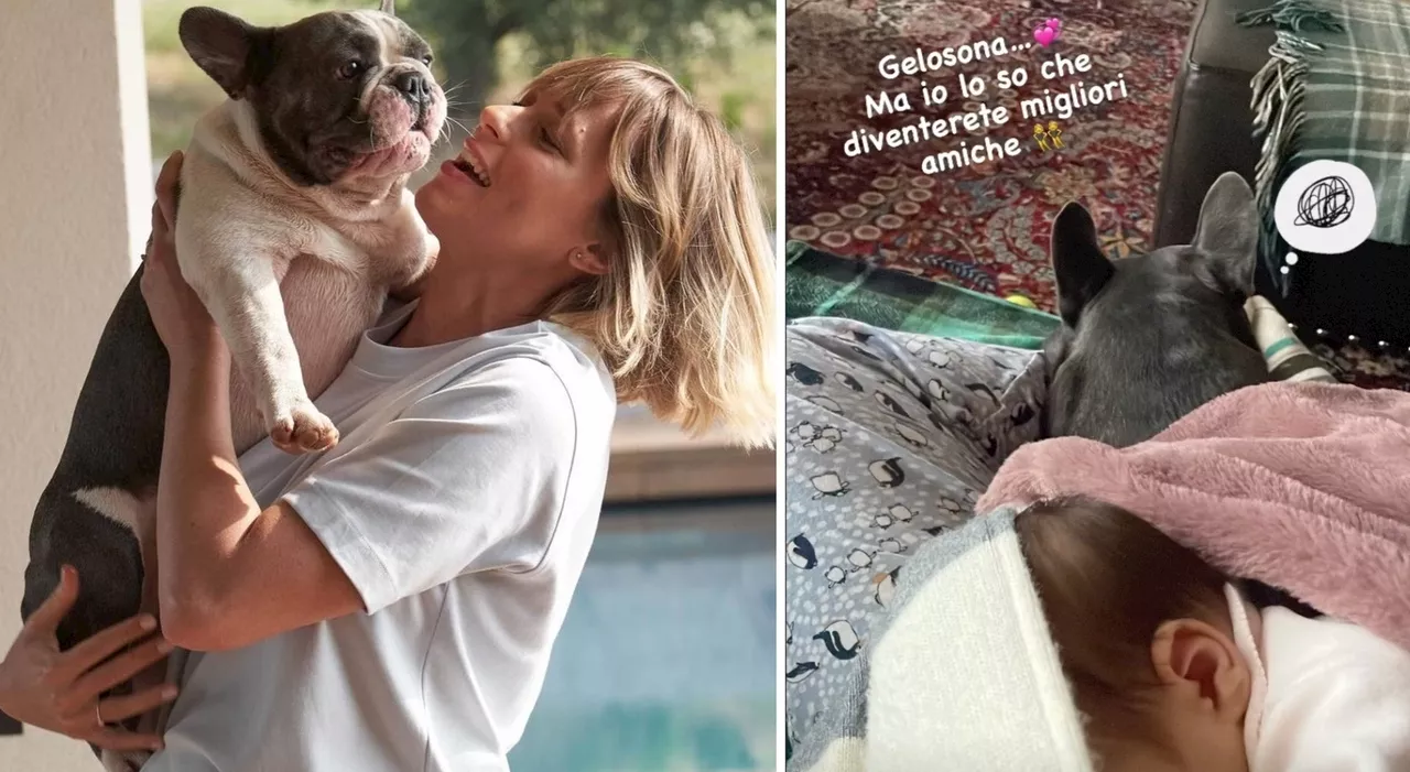 Federica Pellegrini, la bulldog Vanessa gelosa della piccola Matilde: «Diventerete migliori amiche»