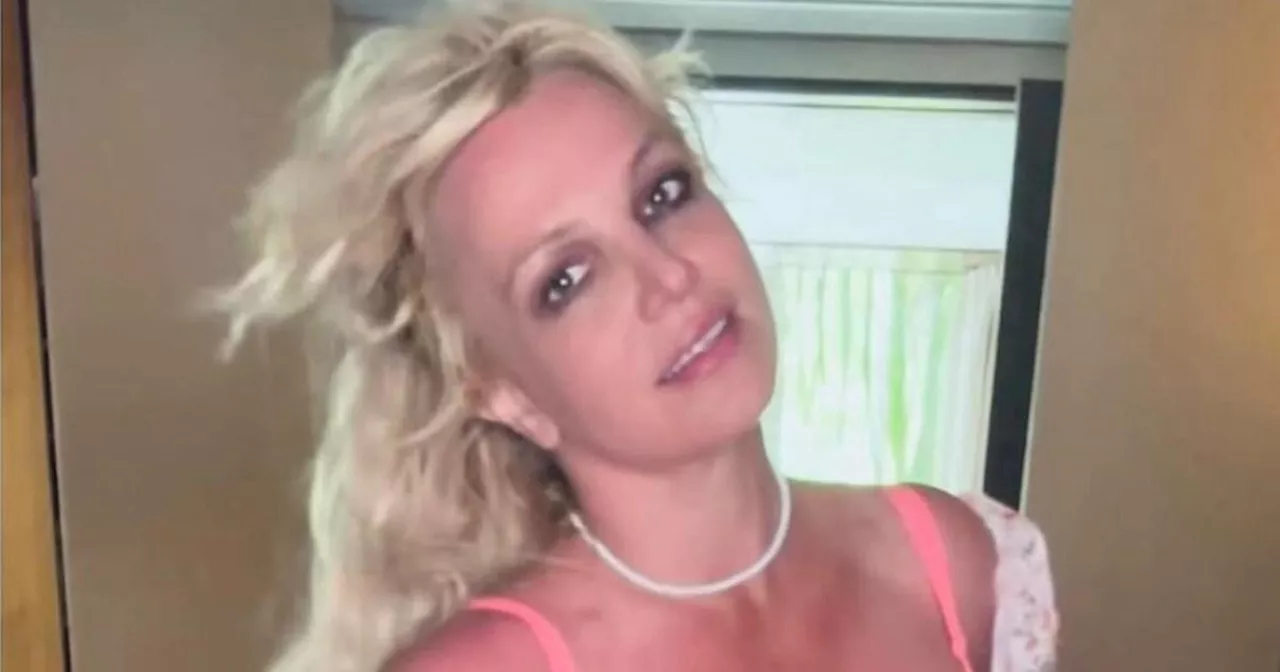 Britney Spears promises fans can 'see all' as she poses nude again