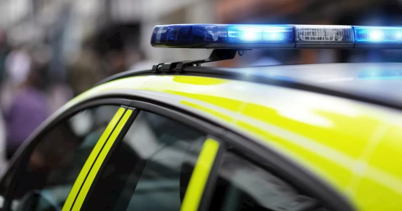 Man, 37, arrested after pile of dead animals dumped outside shop