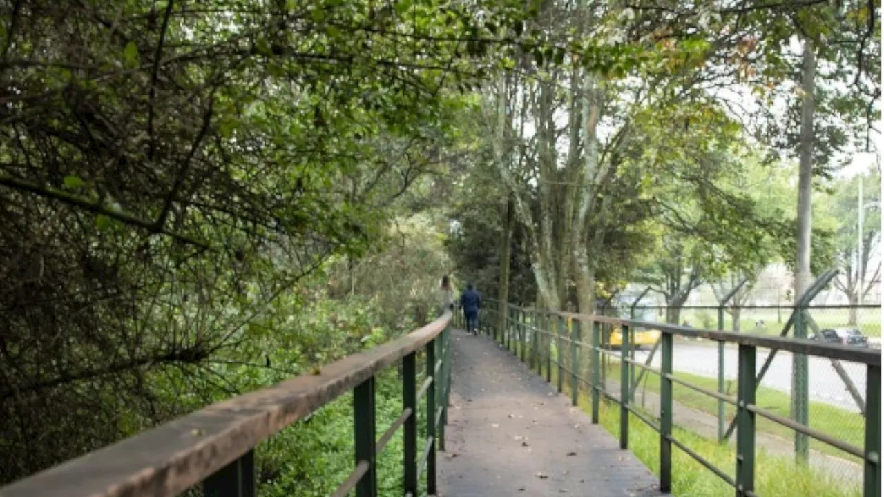 ¡Prográmate! Habilitaron el Corredor Ambiental del humedal Córdoba en Suba