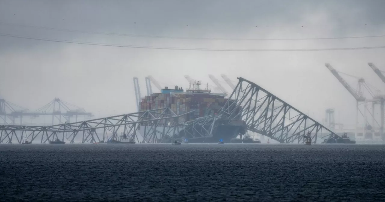 'The whole bridge just fell down': Police audio reveals moments before Francis Scott Key Bridge collapse