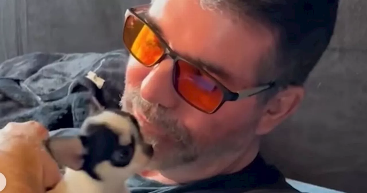 Simon Cowell introduces adorable new family addition and says he's 'in love'