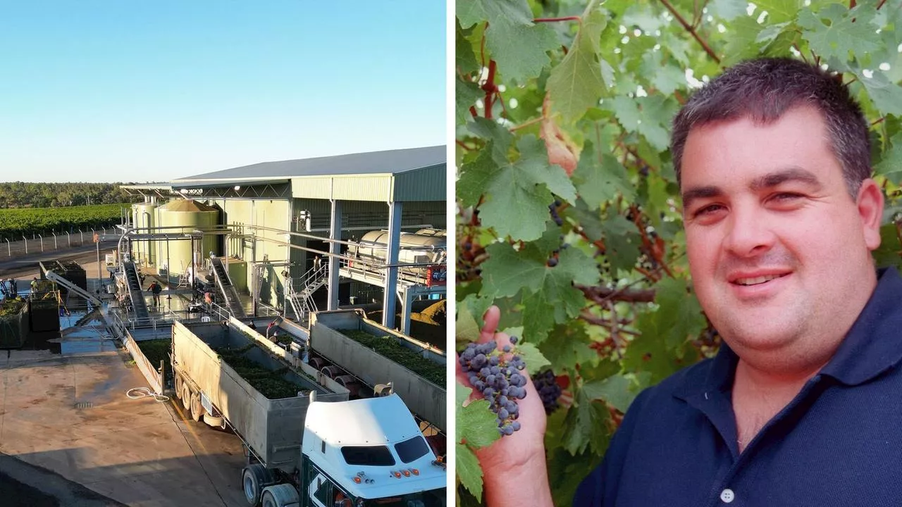 ‘Shame’: Popular Aussie winery fined $500k