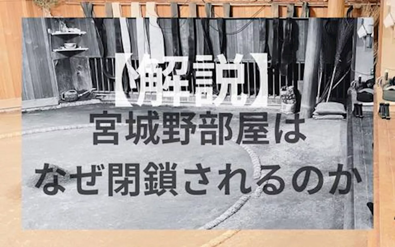 【イチロー大相撲〈17〉】解説＝宮城野部屋はなぜ閉鎖になるのか - 大相撲 : 日刊スポーツ・プレミアム