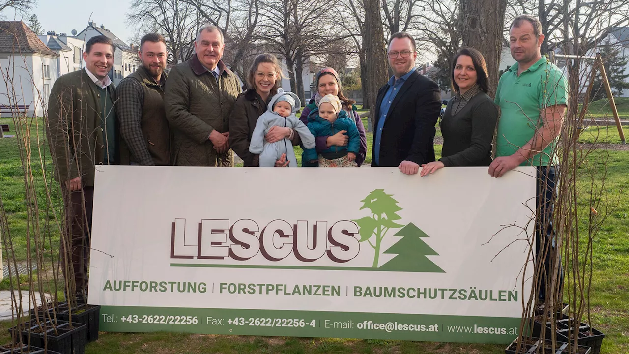 Lebensbaum für Kind in Wiener Neustadt pflanzen