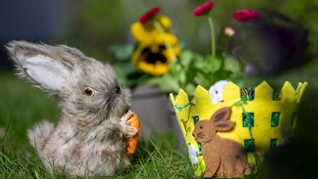 Osterwochenende könnte ersten Sommertag des Jahres bringen