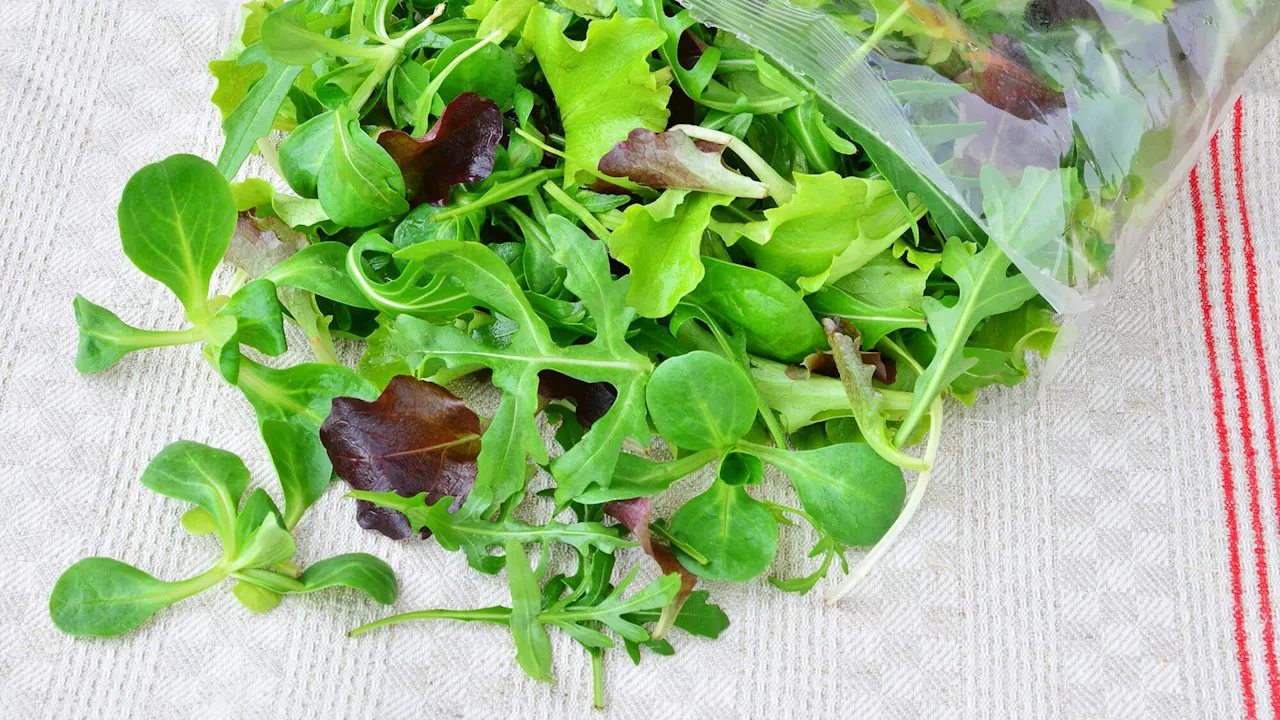 Des pesticides dans 8 sachets de salades sur 10 selon une enquête