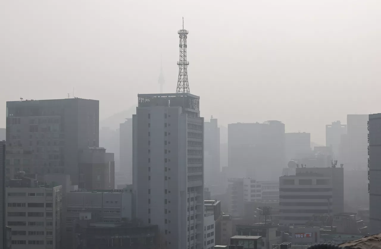 미세먼지, 황사... 아이와 어디서 놀죠?