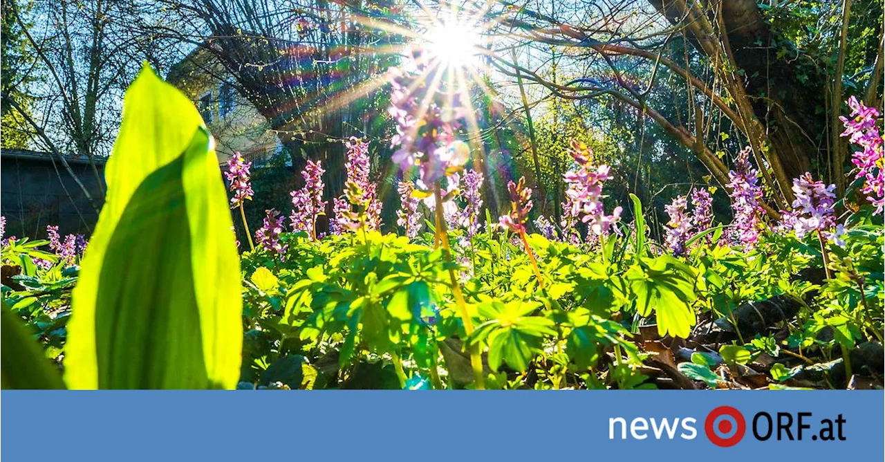 Deutlich über 20 Grad: Ostern wird verbreitet frühsommerlich