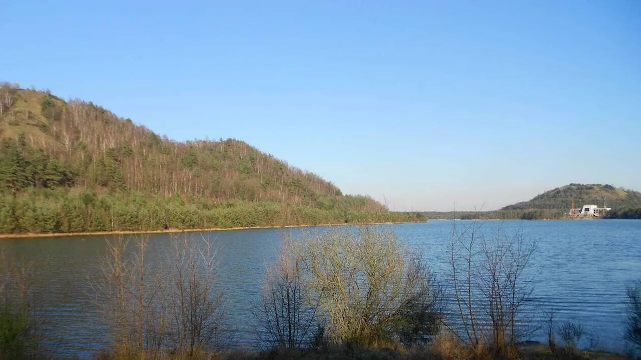 À 2 h 30 de Lille, ce magnifique parc national belge abrite des étangs et une forêt préservée