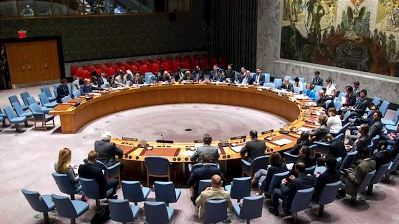 Punishment For Responsible: UNSC Slams Deadly Terrorist Attack In Besham