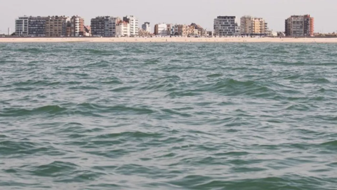 Le port d'Ostende réalise ses meilleurs résultats financiers depuis un quart de siècle