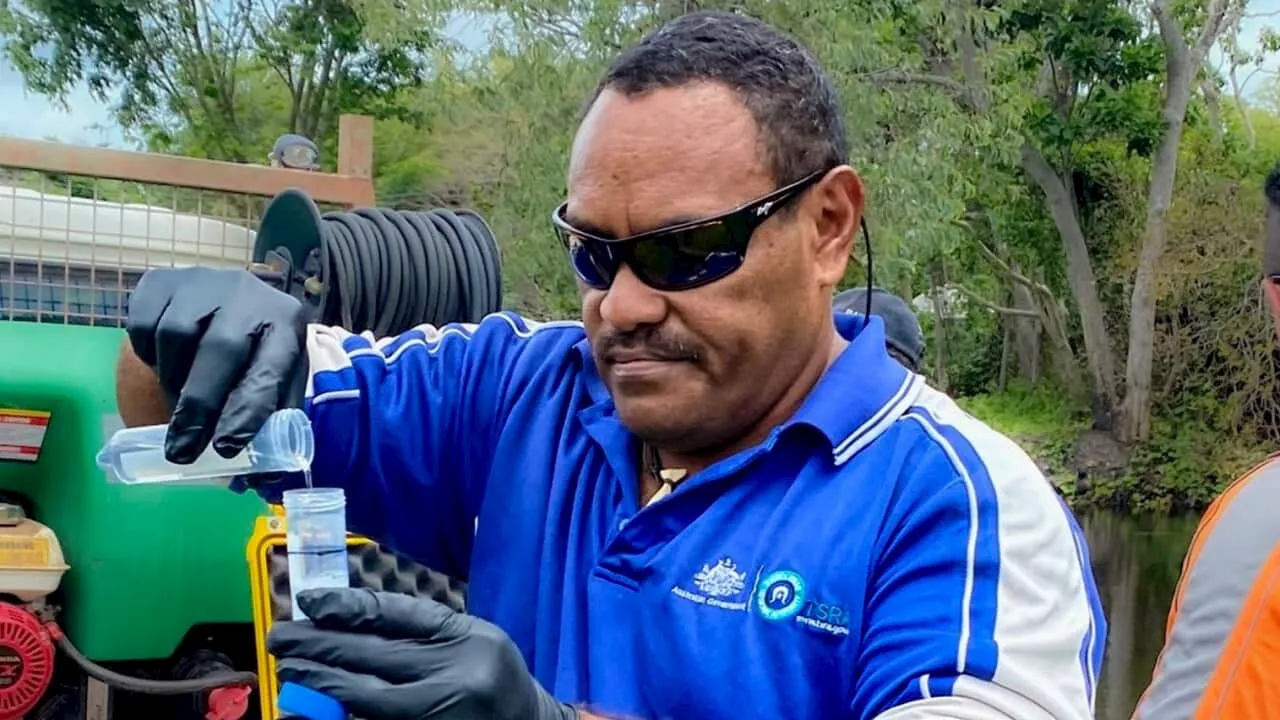 Rangers in the Torres Strait work to get ahead of toad sightings