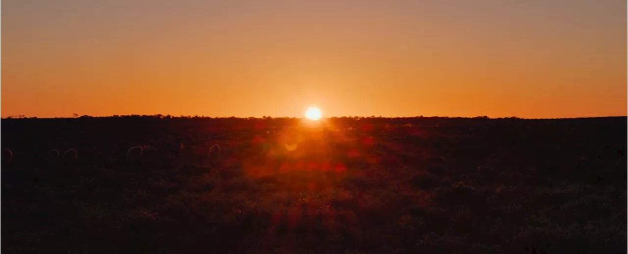 Shock Discovery: Huge Carbon Credit Project in Australia Turns Out to Be a Sham