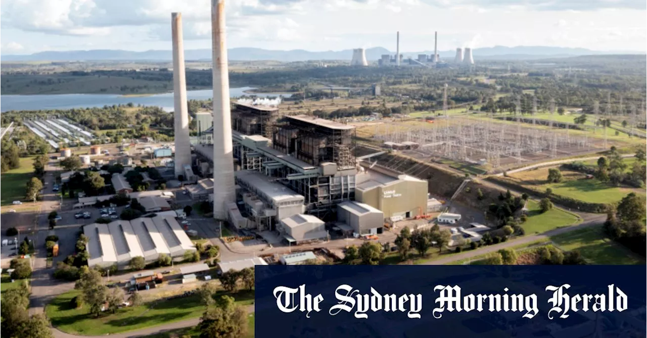 AGL and Cannon-Brookes want to build solar panels at former coal site