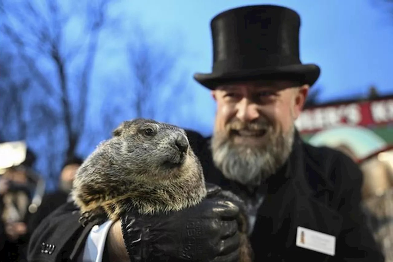 Punxsutawney Phil, the spring-predicting groundhog, and wife Phyliss are parents of 2 babies