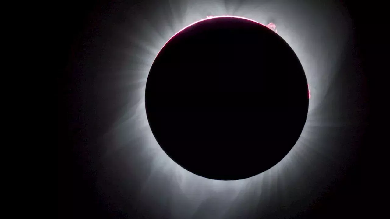 NASA's new astronauts are excited for April's total eclipse 'I'm going