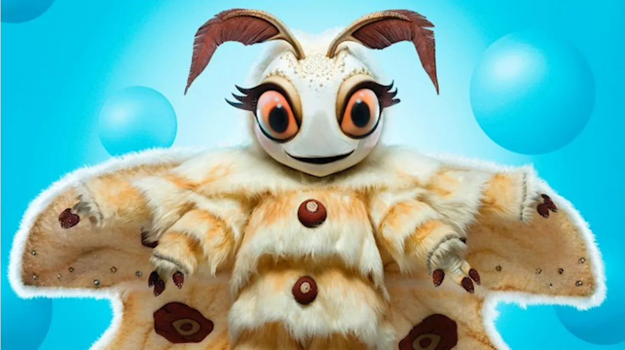 Poodle Moth on The Masked Singer Is So Obvious Once You Know This Clue