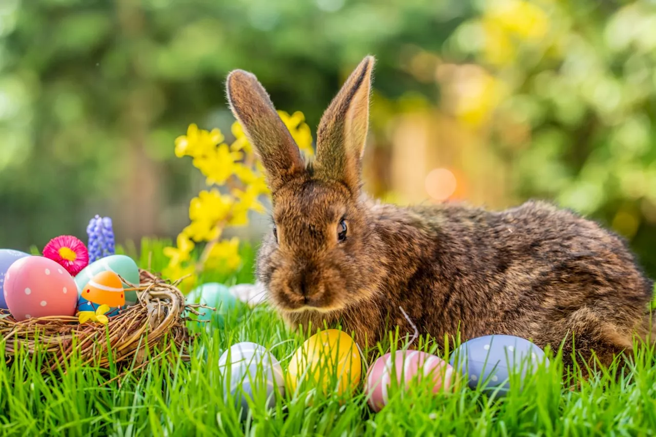 Here’s the municipal service schedule for Easter Weekend