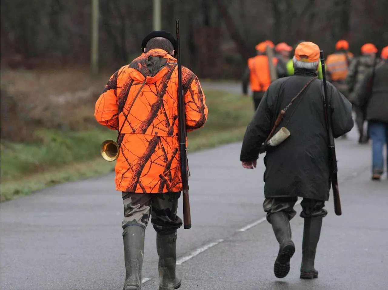 Chasse au sanglier dans les Pyrénées-Atlantiques : le préfet prend un arrêté d’ouverture générale